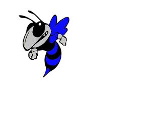 hornets logo 
